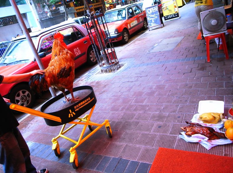 Image: Speel de Populaire Chicken Road Casino Gokkast in Nederland Online